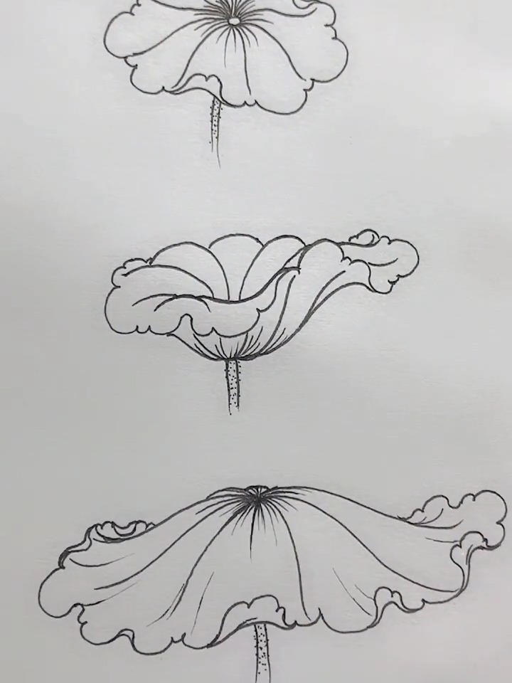 荷叶怎么画